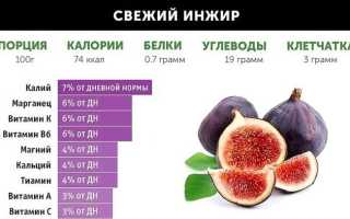 Что нужно знать о домашнем вялении инжира и правильном употреблении для здоровья