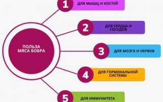Приготовление колбасы из бобра в домашних условиях: рецепт