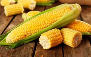 Рецепты приготовления кукурузы на гриле в домашних условиях