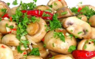 Можно ли из соленых грибов сварить вкусный суп – рецепт