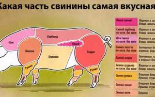 Правильное копчение свиной шеи дома