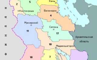 Сбор грибов в Карелии в 2024 году: грибные места, описание съедобный и несъедобных грибов в лесу