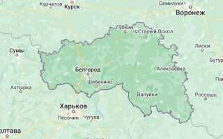 Какие грибы растут в Белгородской области: справка