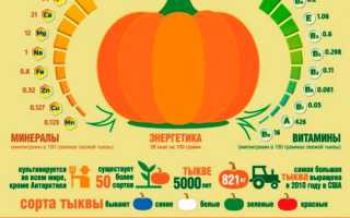 Тыква на гриле: вкусно и полезно для здоровья