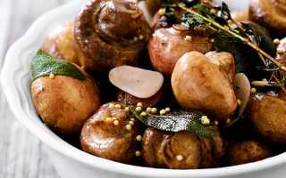 ТОП-19 лучших рецептов маринада для грибов: секреты успеха