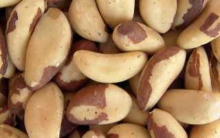 Малознакомый, но вкусный и полезный! Химический состав бразильского ореха