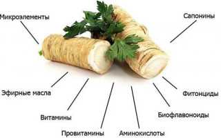 Домашние методы сушки хрена, хранение и его применение для здоровья