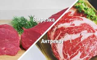 Секреты приготовления вкусного шашлыка из свиного антрекота в домашних условиях
