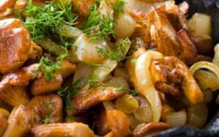 Как вкусно приготовить жареные сыроежки в домашних условиях