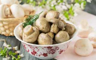 Блюда с маринованными грибами: рецепты