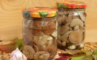 Только вкусные рецепты маслят на зиму для гурманов