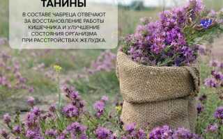 Способы сбора и сушки чабреца в домашних условиях для здоровья