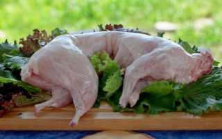 Способы приготовления нежного и сочного шашлыка из мяса кролика в домашних условиях