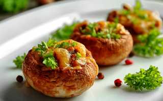 Самые вкусные закуски из грибов шампиньонов на праздничный стол – рецепты