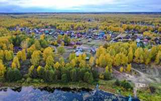 Грибы и грибные места в Нижегородской области: сезон, виды