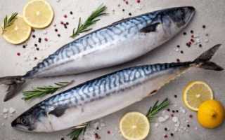 6 рецептов вяленой скумбрии для домашнего приготовления вкусно и просто