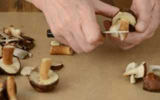 Маринуем польские грибы правильно и вкусно! Секреты и рецепты