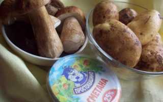 Шампиньоны в сметане: ТОП-10 самых лучших и вкусных рецепта для ужина