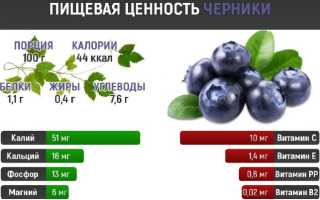 Способы сушки черники и правила её хранения в домашних условиях