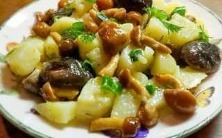 Салат с маринованными грибами и картошкой для пикника