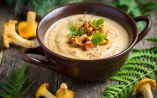 15 самых вкусных рецептов грибной подливы с лисичками для гурманов