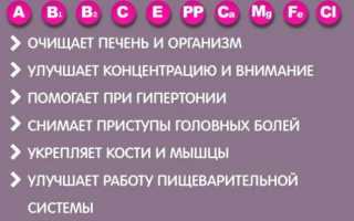 Домашние способы сушки сливы, подготовка к процедуре и правила хранения в домашних условиях