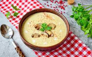 Как варить вкусную грибовницу из свежих белых грибов дома