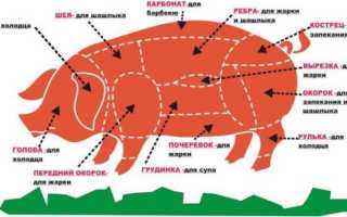Всё о приготовлении шашлыка из свинины: секреты успеха