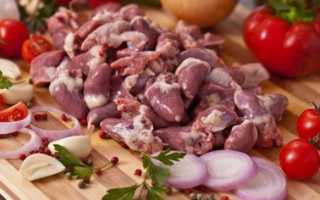 Рецепты шашлыка из куриных сердечек на все случаи жизни и праздники