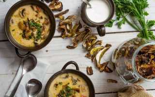 Как вкусно сварить суп с сухими грибами дома