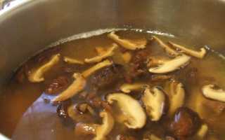 Исконно вкусный суп с шиитаке для гурманов