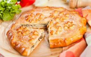 Как просто и вкусно приготовить пирог из белых сушеных грибов в домашних условиях