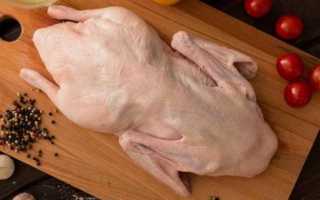 Маринование и приготовление шашлыка из домашней и дикой утки: советы