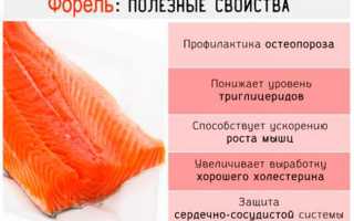 Холодный и горячий способы копчения форели для дома