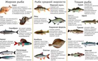 Рецепты жарки морского окуня на гриле для пикника