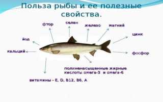 Способы приготовления вяленой плотвы дома – рецепты