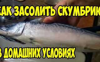 У скумбрии холодного копчения в вакуумной упаковке 6 дней закончился срок годности можно ли ее есть