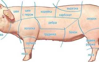 Рецепты копчения свиной рульки в домашних условиях