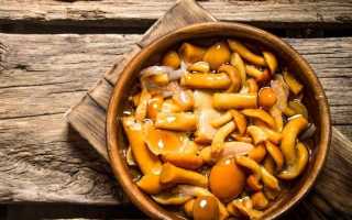 Рецепты вкусных осенних маринованных опят для гурманов