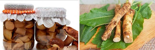 Маринование поддубиновича и подберезовика на зиму - рецепты с фото