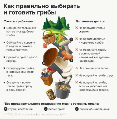 Советы грибникам