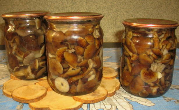 Грибной маринад - 10 пошаговых рецептов