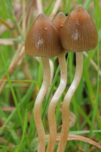 1402 фото