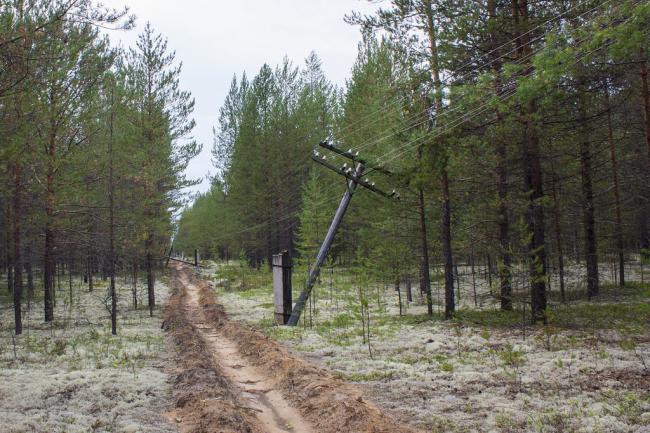 Грибы в Чернам (заповедник