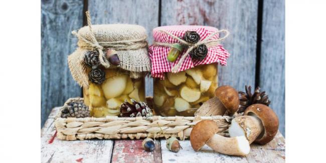 Какие вкусовые качества имеют грибы?