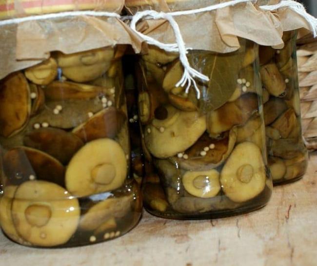 Как вкусно и правильно закрыть маслят?