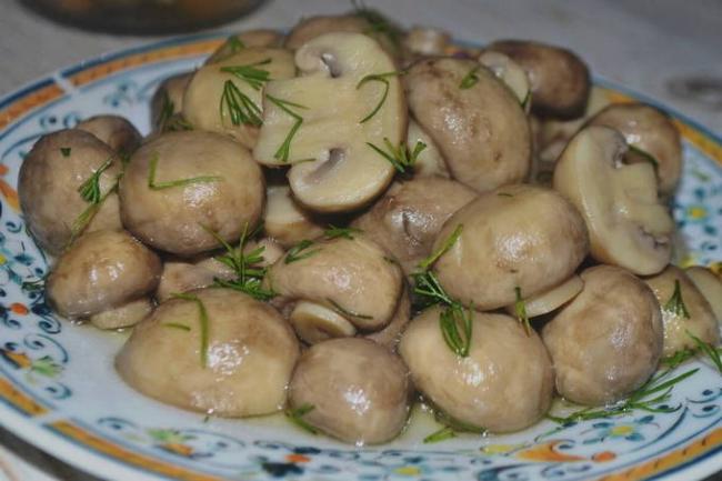 Что можно сделать с шампиньонами на зиму