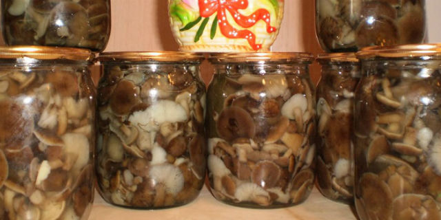 Как мариновать грибы-обманки в домашних условиях