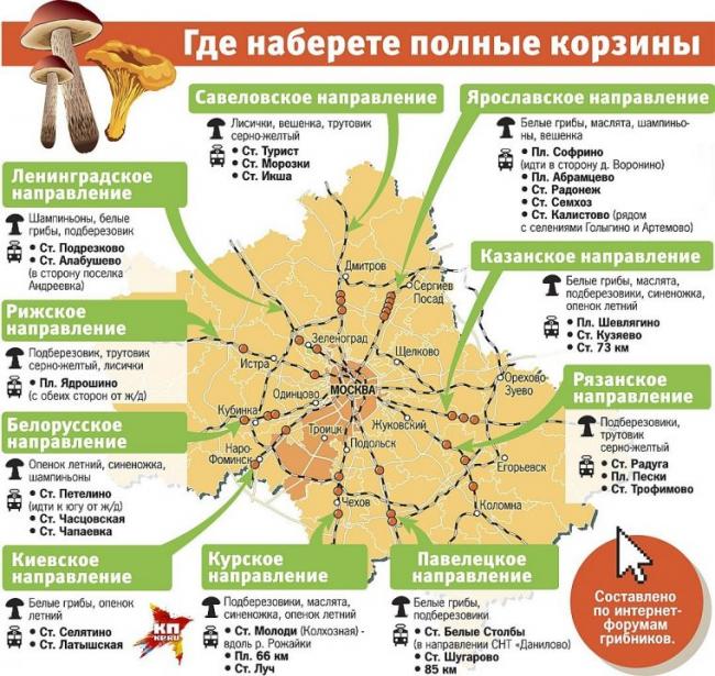 Грибные места Подмосковья