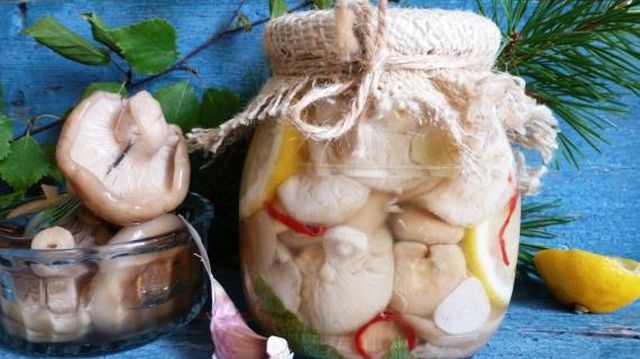 Как солить грузди в домашних условиях вкусно и быстро